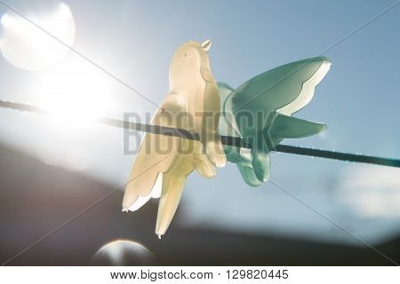 Birds on a wire with sun flare