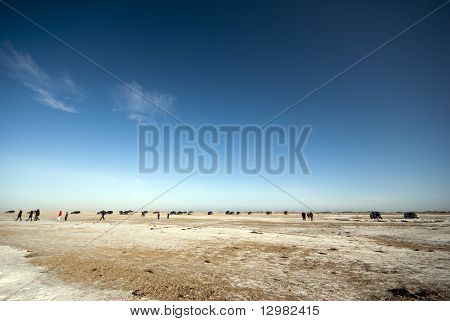 겨울 해변