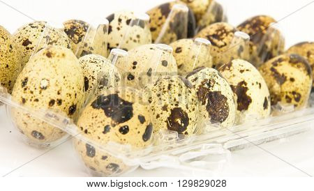 Common Quail eggs isolated on white background.