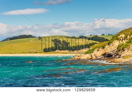 New Zealand coastline landscape - A happy sunny day at Otago Region Southern island New Zealand