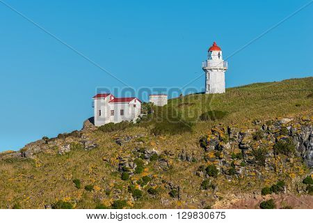 Lighthouse at Taiaroa Head Otago Peninsula Dunedin New Zealand.