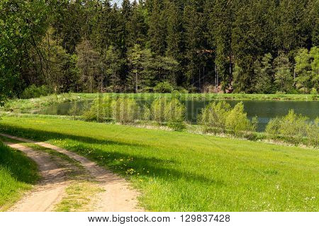 Beautiful Summer Rural Landscape
