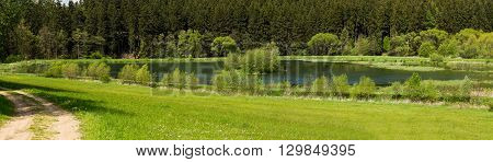Beautiful Summer Rural Landscape