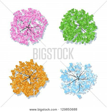 Four seasons Trees - spring summer autumn winter. Tree collection top view for landscape design project. Vector set illustration isolated on white background