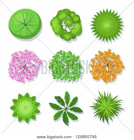 Tree collection top view for landscape design project. Vector set illustration isolated on white background