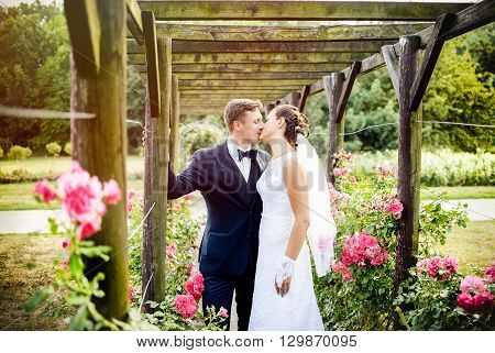 Newlyweds In Park Rosarium Next To Beautiful Pink Roses