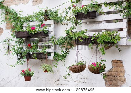 Pallet Ideas For Gardening