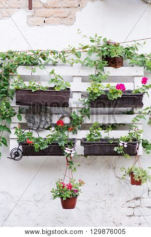 Pallet Ideas For Gardening