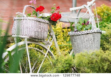 White Basket With Flowers Hanging On Old Bicycle In Garden