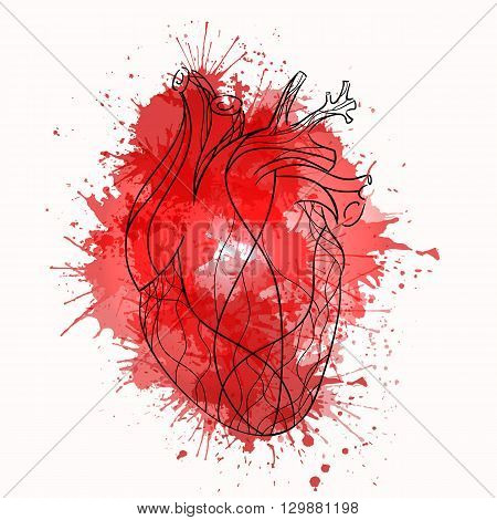 Vector sketch of the real heart of the red lines with watercolor splashes