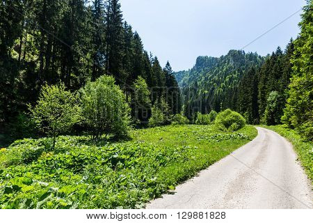 Nature In Liptov Region, Slovakia In Summer 2015