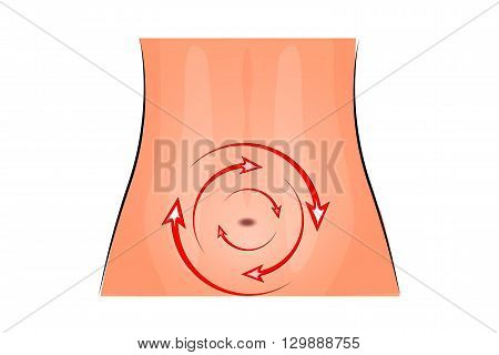 illustration of the female abdomen and menstrual cycle