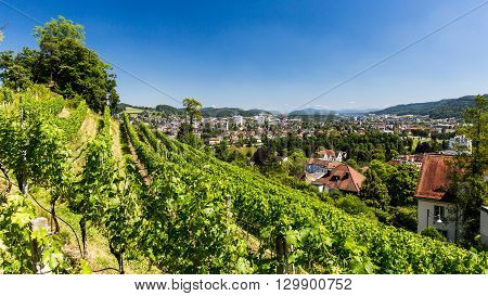 BADEN AARGAU SWITZERLAND - JUNE 30 2015: Vineyard from top to the city of Baden on June 30 2015. Baden is a municipality in the Swiss canton of Aargau located 25 km (16 mi) northwest of Zurich.