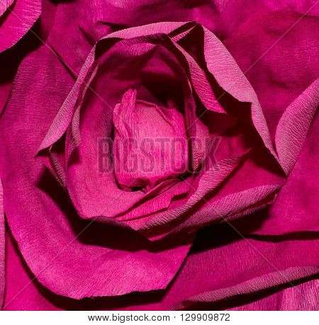 Paper Pink Rose Close Up