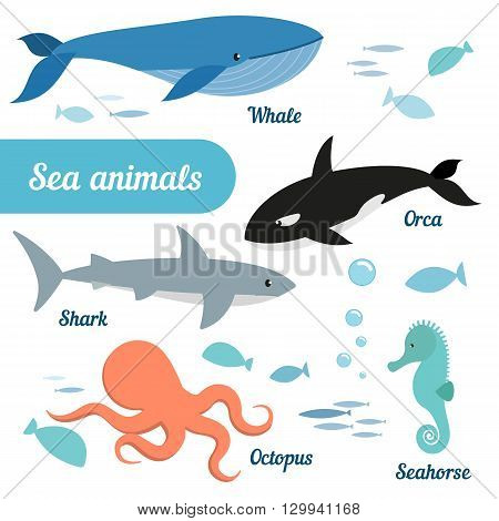 Set of sea animals - whale grampus octopus seahorse shark fish. Vector.