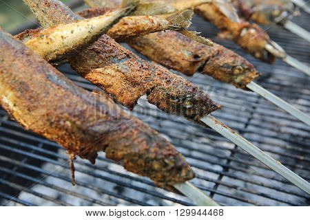 Barbecue with Mackerel on Stick in Germany