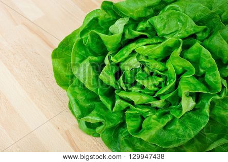 fresh green lettuce from above on wooden table