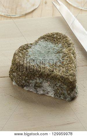 Traditional French goats cheese with edible mold