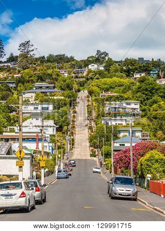 Dunedin New Zealand - November 16 2014: Baldwin Street world's steepest in Dunedin Otago New Zealand. Steepest gradient 1 in 2.86.