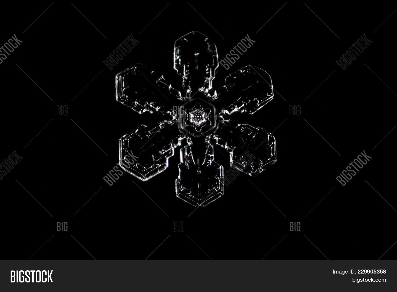 real snowflake powerpoint template real snowflake powerpoint