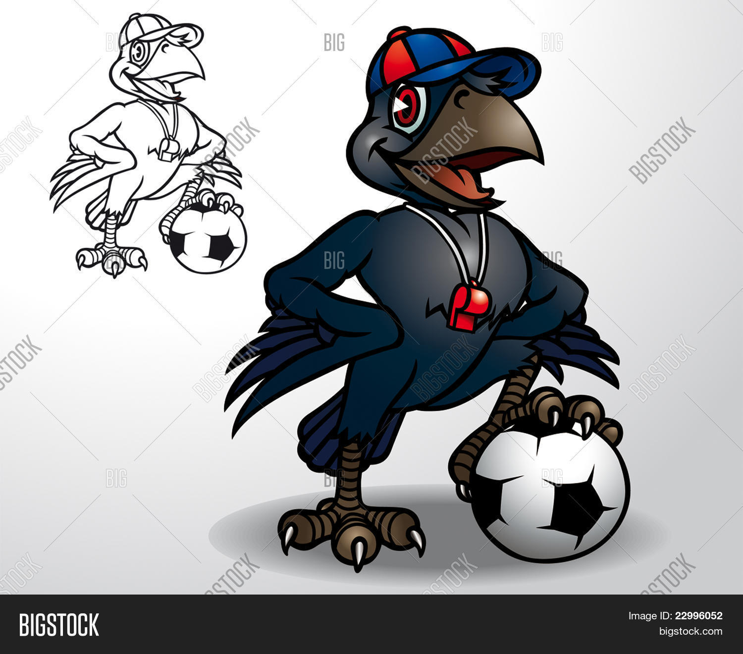 Image Preview