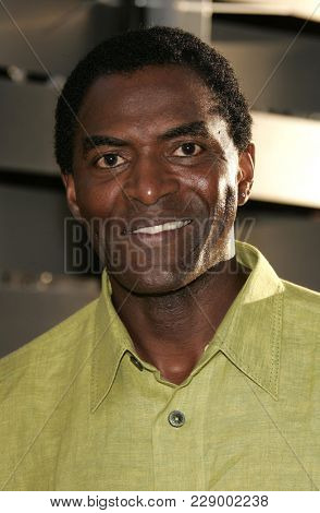 LOS ANGELES - JUL 13:  Carl Lumbly at the ABC Summer Press Tour Party 2004  on July 13, 2004 in Century City, CA.                