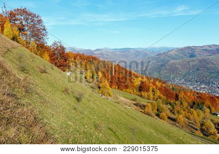 Autumn Carpathian Mountains Landscape With Multicolored Yellow-orange-red-brown Trees On Slope And  