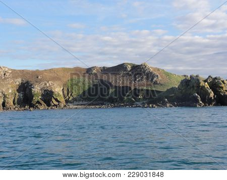 The Ile aux Oiseaux is a small island of the Gulf of Morbihan belonging to the state. She is managed