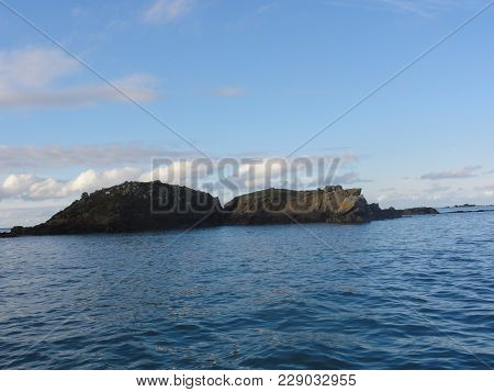 The Ile Aux Oiseaux Is A Small Island Of The Gulf Of Morbihan Belonging To The State. She Is Managed