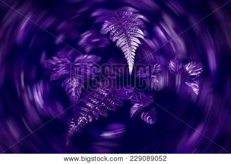Ultraviolet Natural Background Of Fresh Mint And Leavers Of Fern. Flora Of The Rainforest. Fashionab