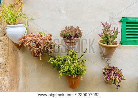 flowerpots street in the tourist island of Mallorca, Valdemosa city in Spain