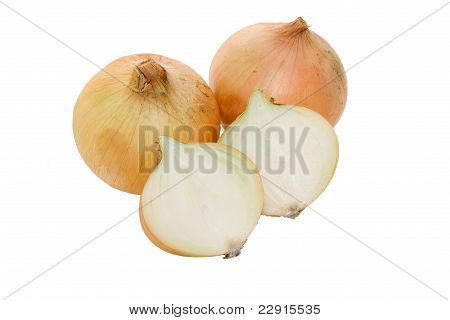 Cebolla