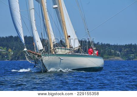 Schooner Underway In Vicinity Of Race Rocks, Victoria, British Columbia