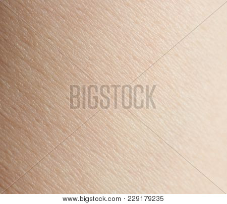 Macro Of Human Skin. Caucasian Woman Skin Background