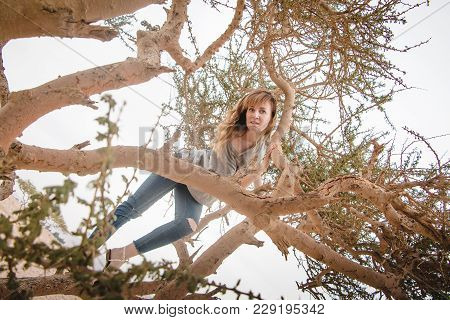 Pretty Girl Have Fun On A Tree In The Desert In A Day