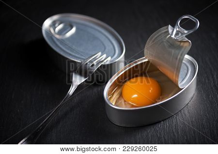 Canned Aluminium Preserves Simulating Hen Egg Shell