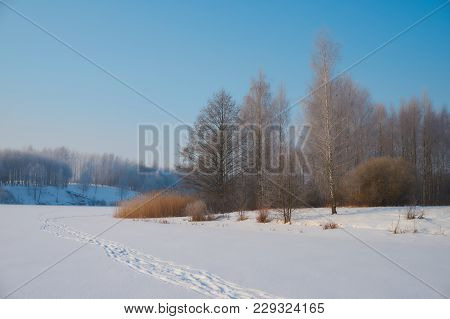 Ice And Snow Covered River, Trees, Rushes, Fallen Fields And Blue Sky With White Clouds. Cold, Snowy