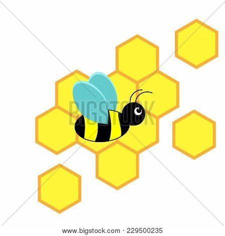 Bee With Honeycomb On A White Background