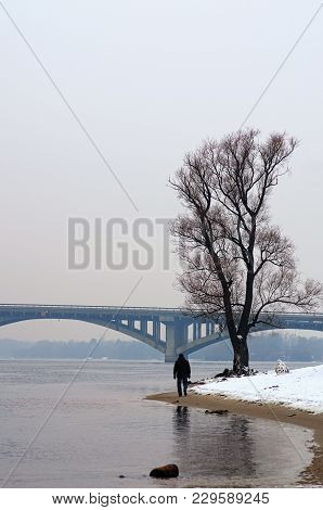 One Man Is Walking Along The Bank Of The Dnieper River. Winter Landscape Photo. Kyiv, Ukraine.