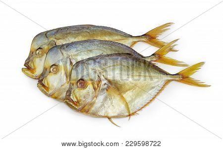 Three Smoked Selene Setapinnis, Also Known As Atlantic Moonfish Or Vomer Setapinnis, On A White Back