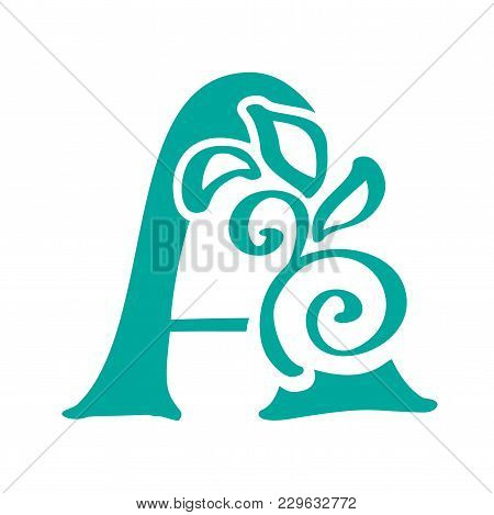 Letter A Logo Icon Design Template Elements Lettering Vector Sign. Hand Drawn Calligraphy Business C