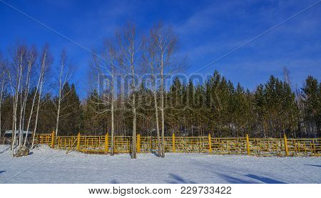 Winter Scenery Of Mohe County, China