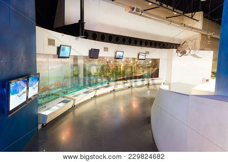 Kalasin, Thailand - March 3 : Exhibition Area Of Creature Evolution In Sirindhorn Dinosaur Museum On