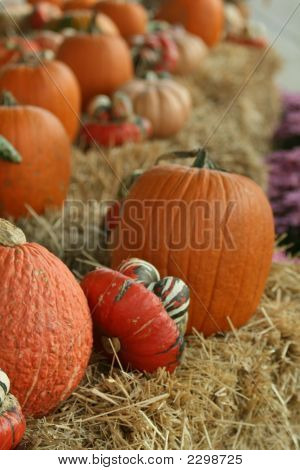 Pumpkins