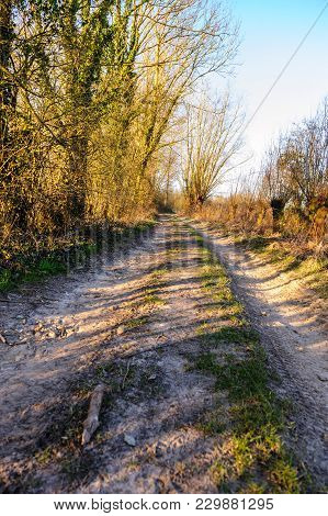 A Small Country Road In The Flemish Country Side In Belgium On A Clear Winter Evening.