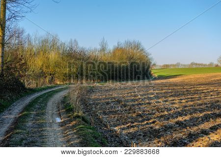 A Small Country Road In The Flemish Country Side In Belgium On A Clear Winter Evening.