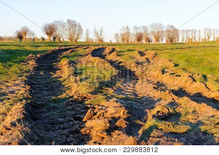 Tyre Tracks From A Heavy Farm Tractor Line The Country Side On A Winter Evening In East Flanders. Th