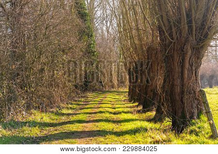 A Small Country Road In The Flemish Country Side In Belgium On A Clear Winter Evening.