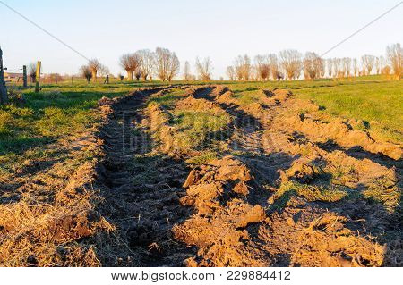 Tyre Tracks From A Heavy Farm Tractor Line The Country Side On A Winter Evening In East Flanders. Th