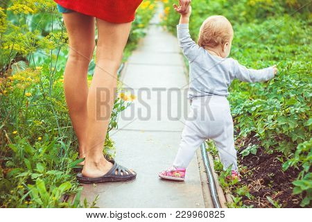 The Child Learns To Walk In The Park Barefoot On The Grass